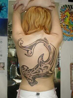 5667.jpg Shark tattoo