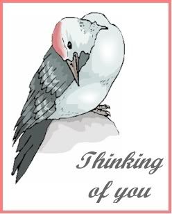 dove-thinking.jpg THINKING OF YOU image by picuvthcrop