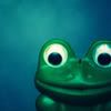 frog.jpg frog image by danielletigger3