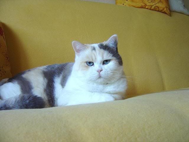 DSC03288.jpg