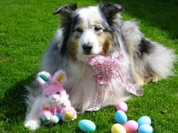 fc56.jpg Easter Boo image by cissy95501_photos