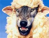 Wolf In sheeps clothing Pictures, Images and Photos
