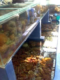 07082009407.jpg