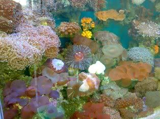 07082009415.jpg