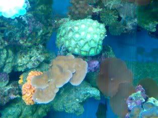 07082009424.jpg