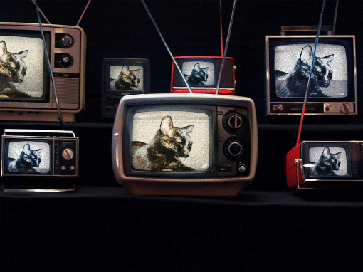 OnTVAnimated_zpsxfb3y629.gif