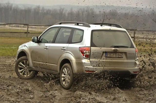 Subaru-Forester-20-XS-is-very-well-matched-on-muddy-area.jpg