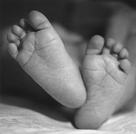 baby feet Pictures, Images and Photos