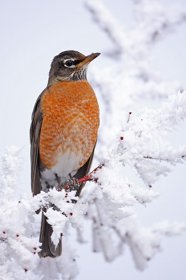 IMAGE: http://i189.photobucket.com/albums/z161/fishhuntmike/Mobile%20Uploads/image_zps062a3acc.jpg