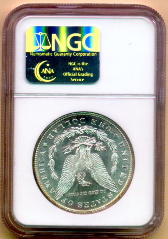 3 Page Eagle Slab Album for Certified Coin Slabs Holds Up to 27 PCGS NGC Slabs