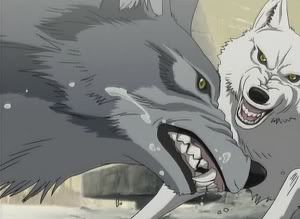 4114.jpg wolfs_rain image by evachild03