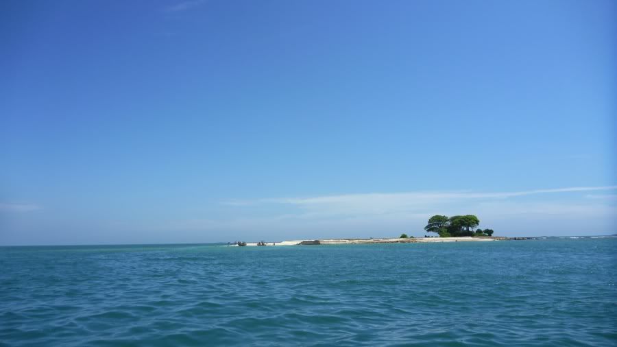 20110410_001.jpg
