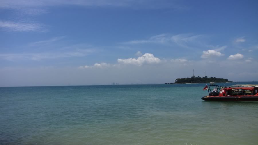 20110410_026.jpg