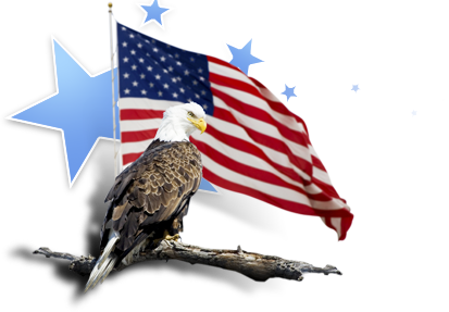 Eagle & Flag Pictures, Images and Photos