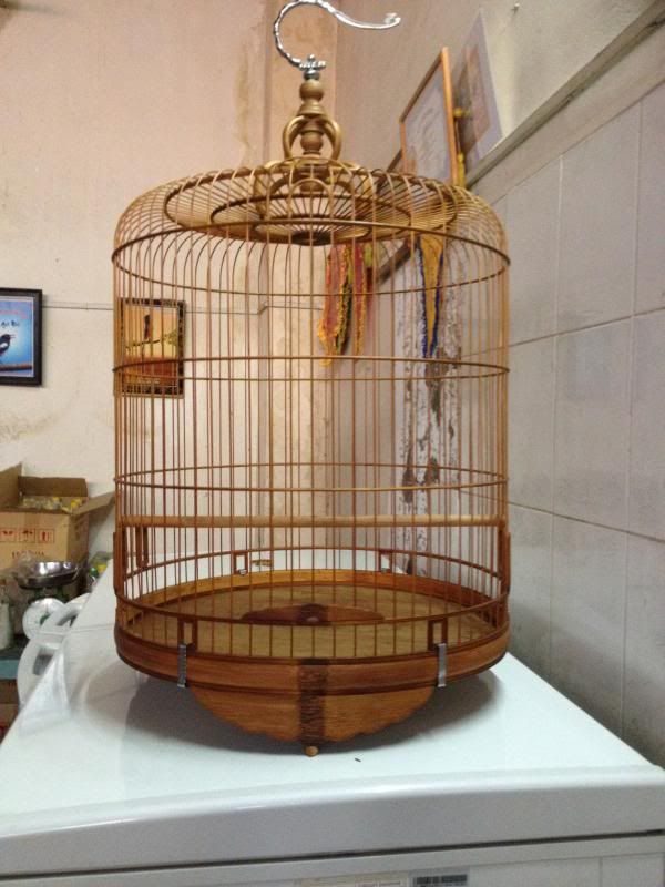 Lồng chào mào 72n (=68n xưa) đặt (a.Tuấn amata) hàng vip giá tốt (có hình)