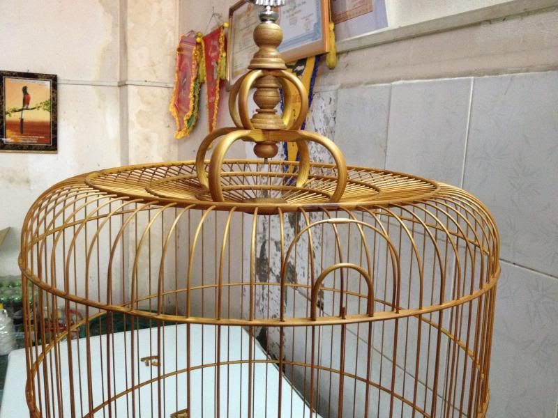 Lồng chào mào 72n (=68n xưa) đặt (a.Tuấn amata) hàng vip giá tốt (có hình) - 3