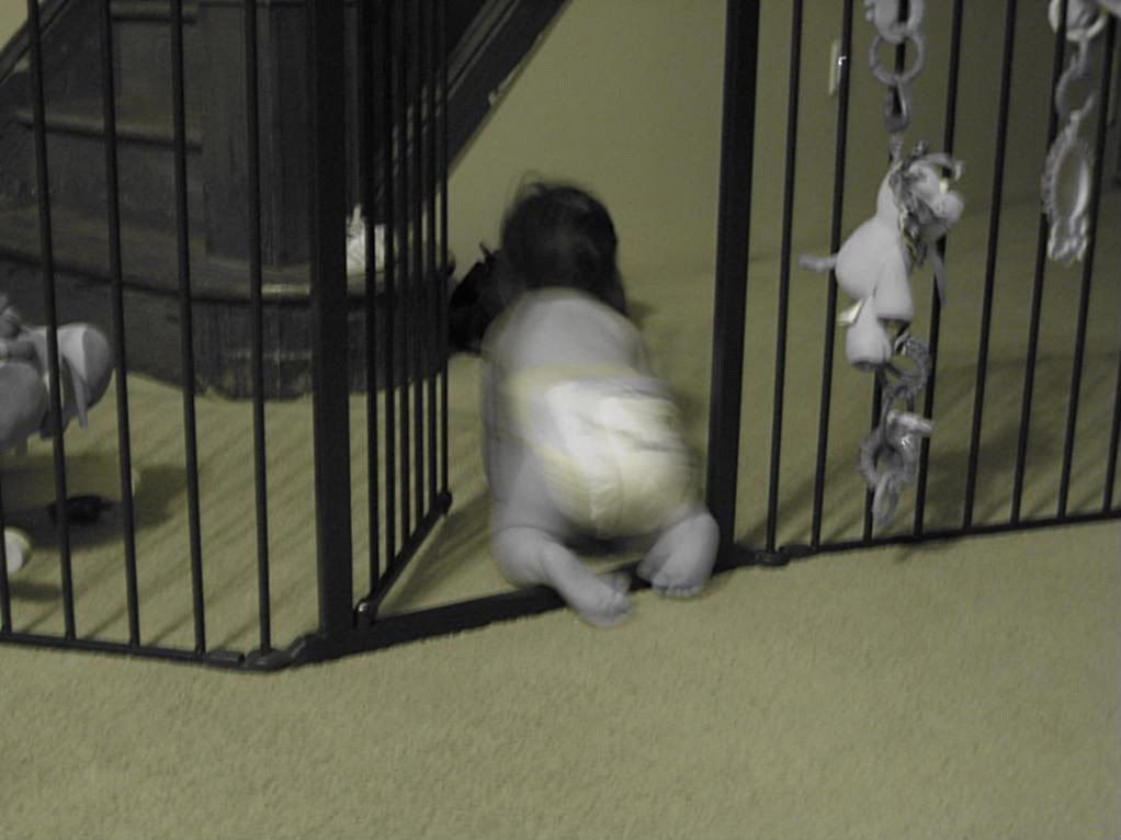 079.jpg Escape! image by Piglet077