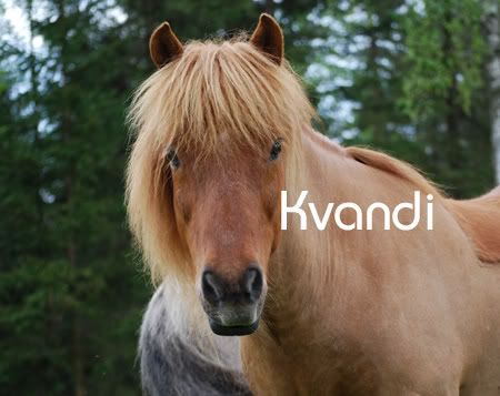andi.jpg