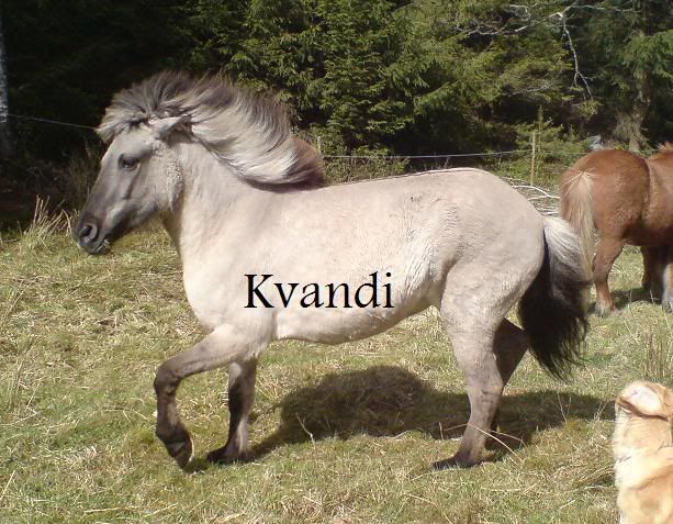 kvdansar.jpg