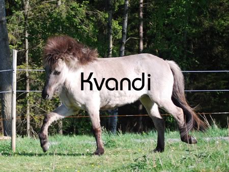 kvallslek4.jpg