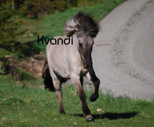vackrakvekitext.jpg
