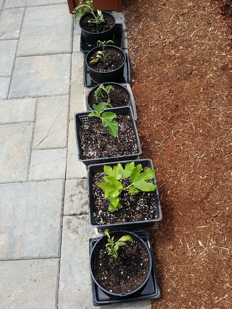 [20150531_122444_zpstfxm4r3k]