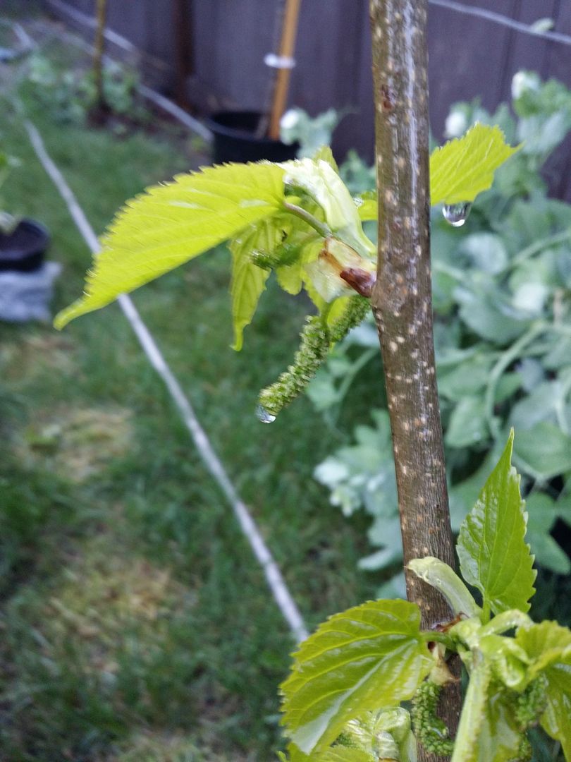 [20150604_202330_zpseqs1jpj1]