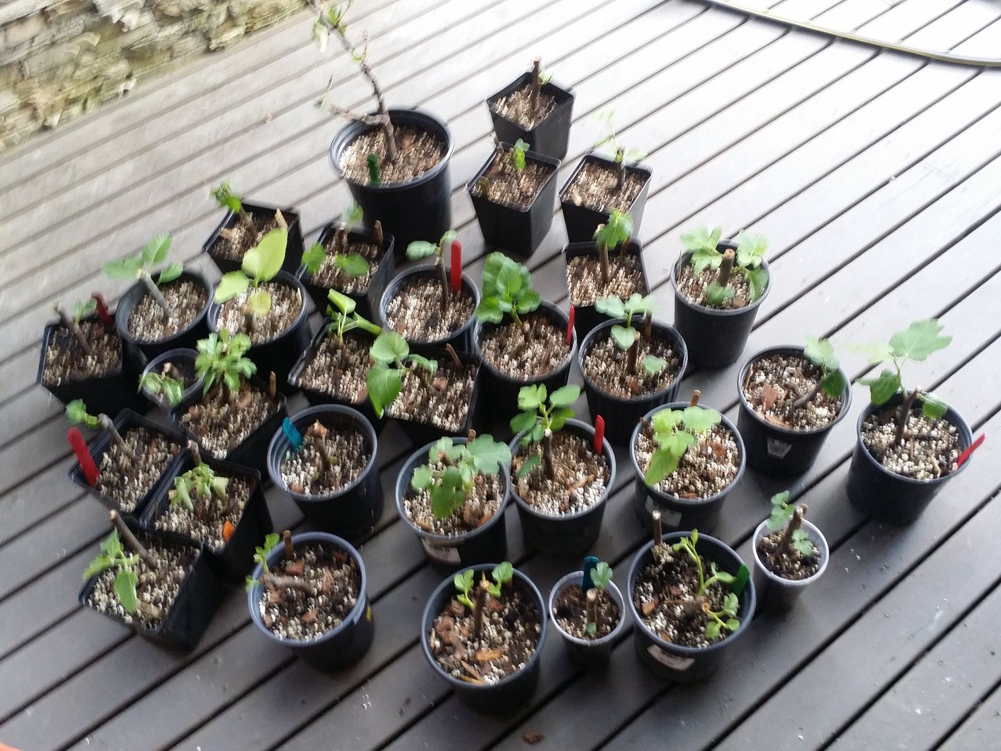 [20150824_174517_zpss203b84p]