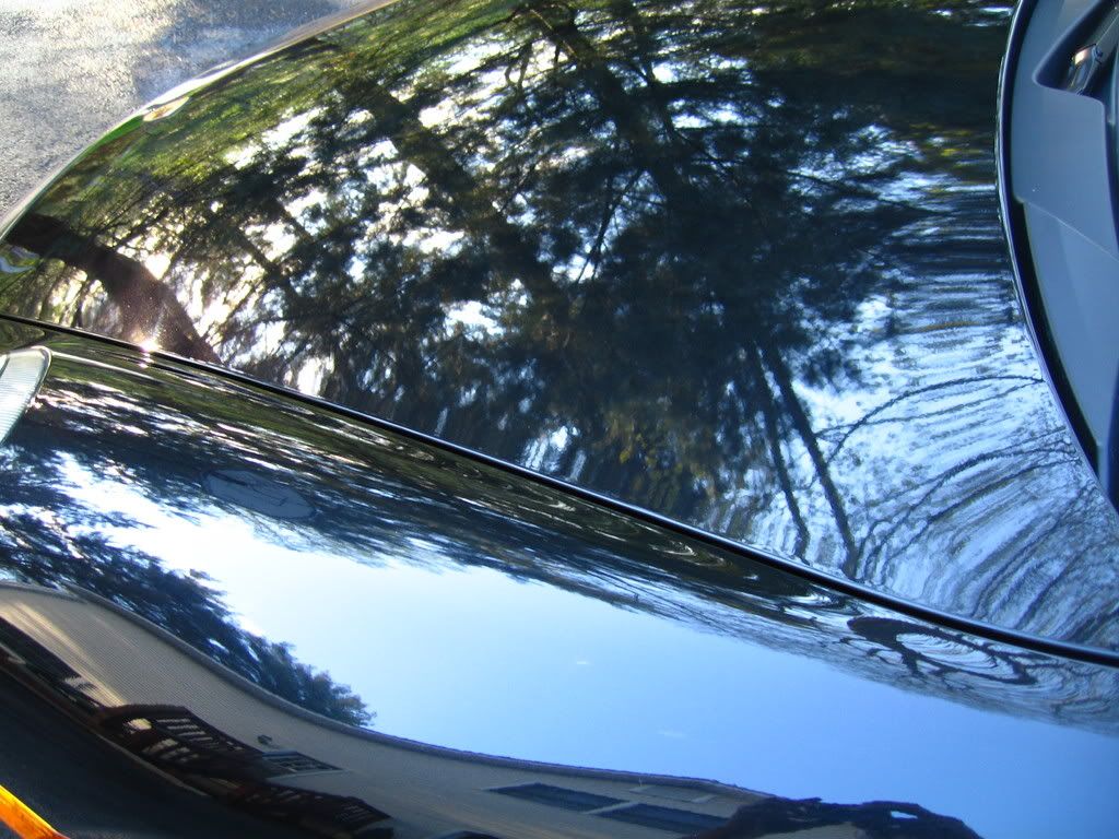 IMG_1270.jpg