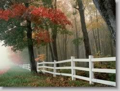  yahoo groups , groups yahoo mail 30979 * Autumn Splendor * 1152 x 864 * (252KB)