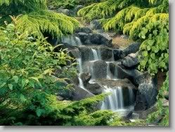  yahoo groups , groups yahoo mail 30983 * Vancouver, British Columbia * 1152 x 864 * (376KB)