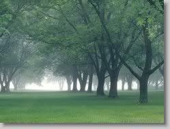  yahoo groups , groups yahoo mail 31032 * Early Morning Mist, Central Indiana * 1152 x 864 * (208KB)