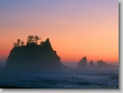  yahoo groups , groups yahoo mail 31044 * Point of the Arches, Sea Stacks, Olympic National Park, Washington * 1152 x 864 * (70KB)