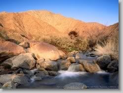  yahoo groups , groups yahoo mail 31053 * Palm Canyon Creek, Borrego Palm Canyon, San Ysidro Mountains, California * 1152 x 864 * (228KB)