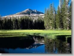  yahoo groups , groups yahoo mail 31081 * South Fork of Silver Creek, El Dorado National Forest, Sierra Nevada, California * 1152 x 864 * (244KB)