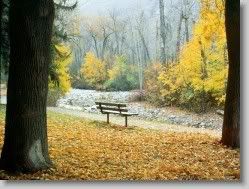  yahoo groups , groups yahoo mail 31142 * Greenough Park, Missoula, Montana * 1152 x 864 * (330KB)