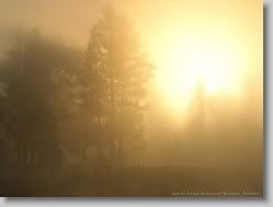  yahoo groups , groups yahoo mail 31182 * Sunrise through the Sapphire Mountains, Montana * 1152 x 864 * (56KB)