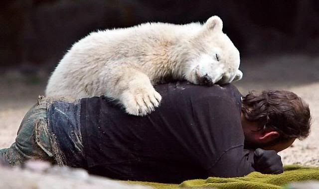  Yaho groups , groups yahoo mails 