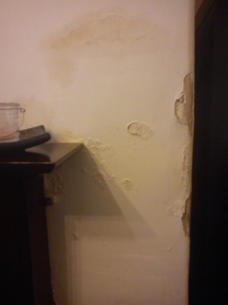IMG_20121107_090912.jpg