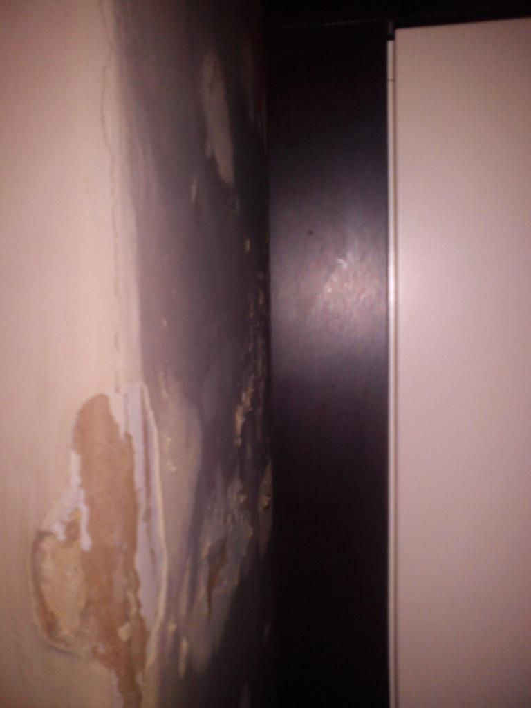 IMG_20121107_090935.jpg