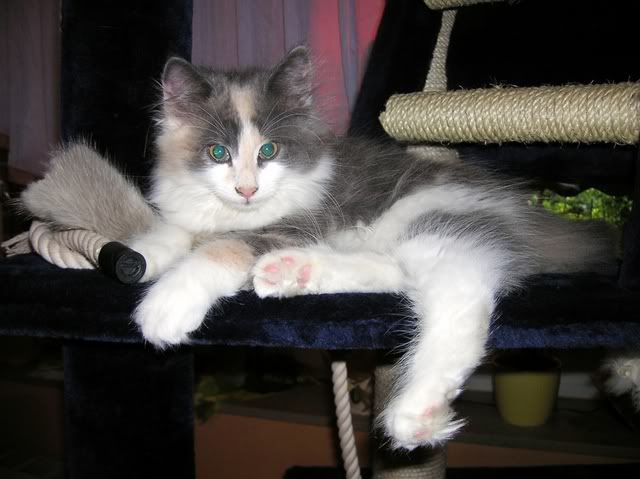Amie0908.07003.jpg