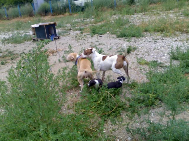 10082007054.jpg