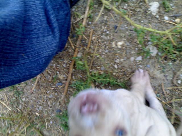 10082007057.jpg