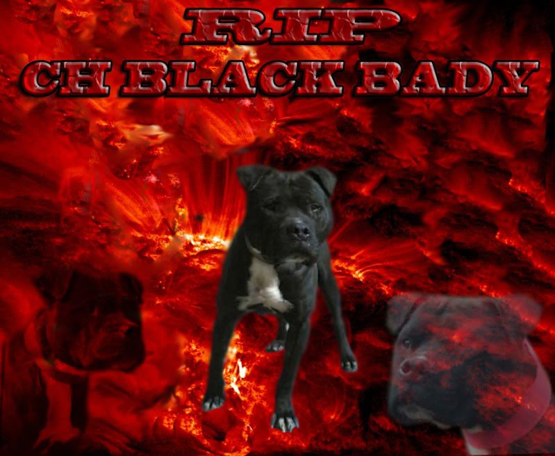 Chblackbady.jpg