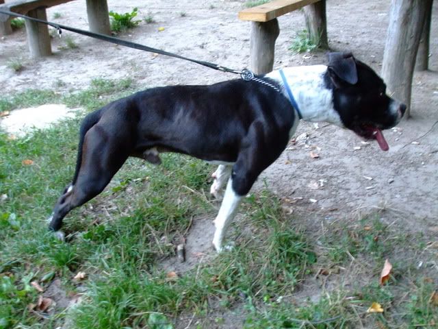 DSCF2222.jpg