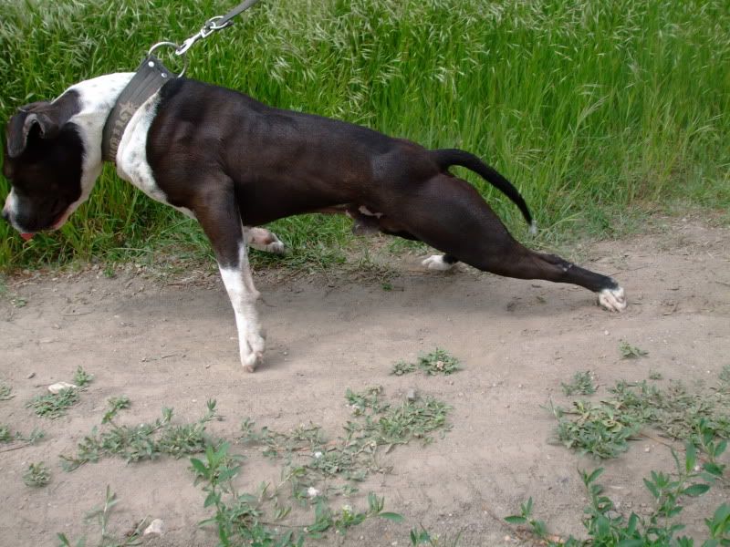 DSCF2870.jpg
