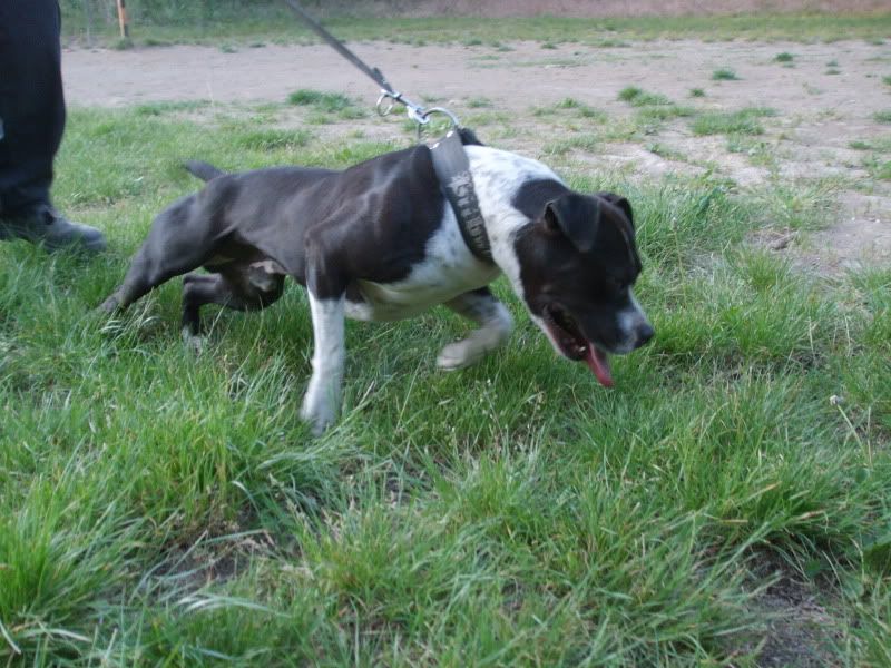 DSCF3004.jpg