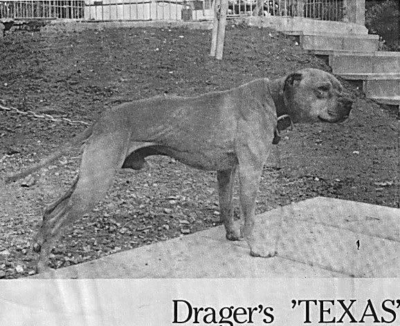 DragersTexas-1.jpg