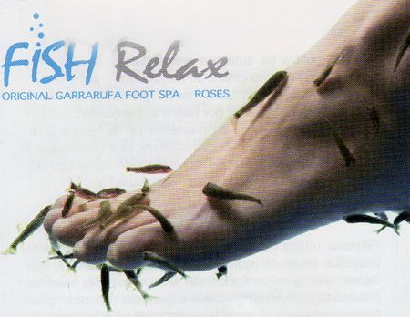 Fish Relax