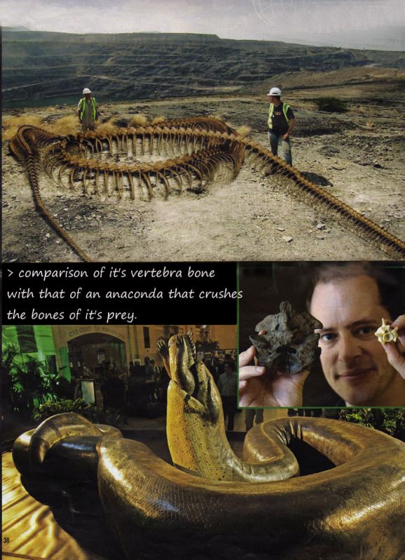 GiganticSnake